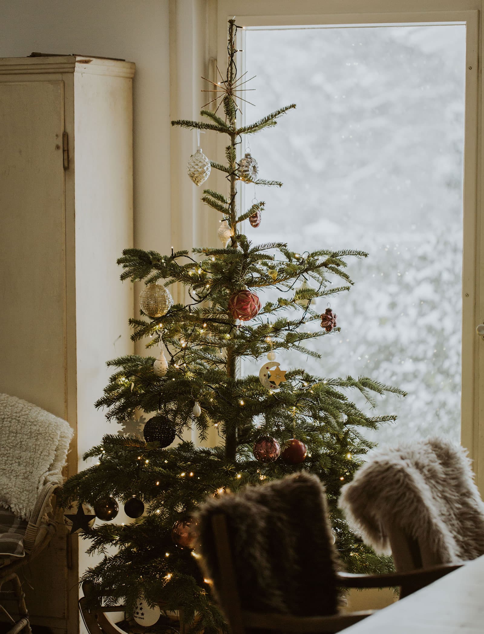Real Christmas Trees & Wood Floors | Woodpecker Flooring